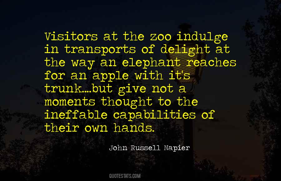 Elephant Quotes #93408