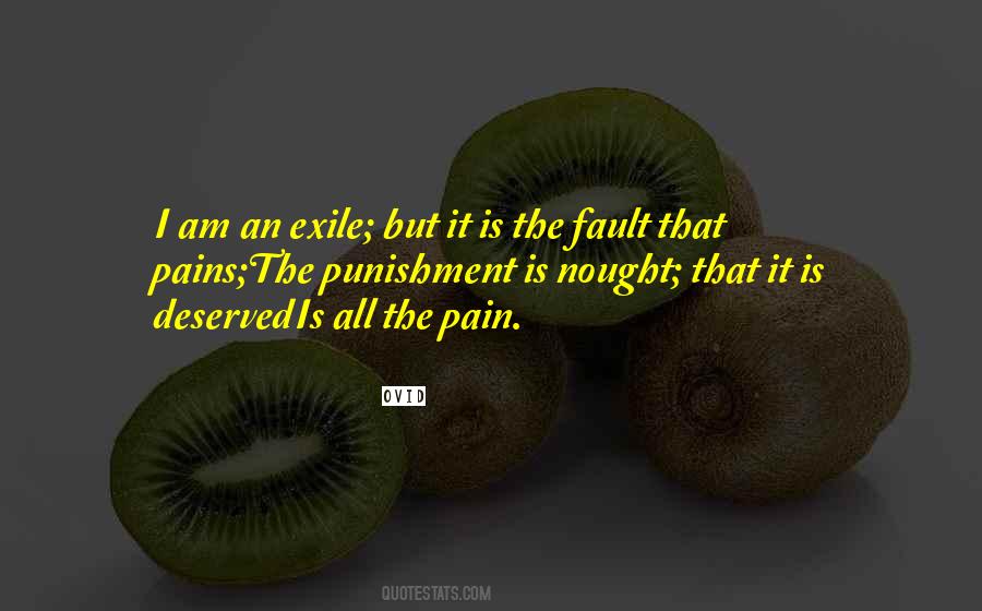 Quotes About All The Pain #1683261