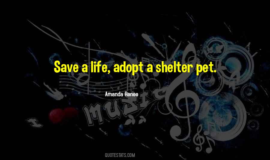 Elevated Spirit Quotes #739281