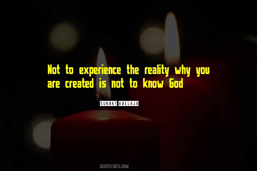 I Create My Own Reality Quotes #503001
