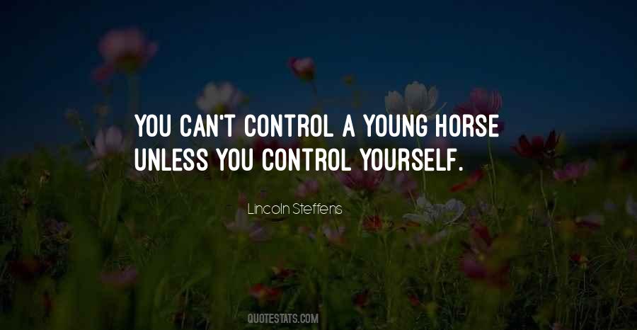 Cannot Control Others Quotes #25508
