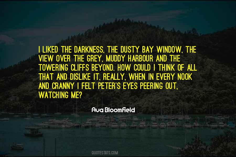The Eyes Are The Window Quotes #1281147