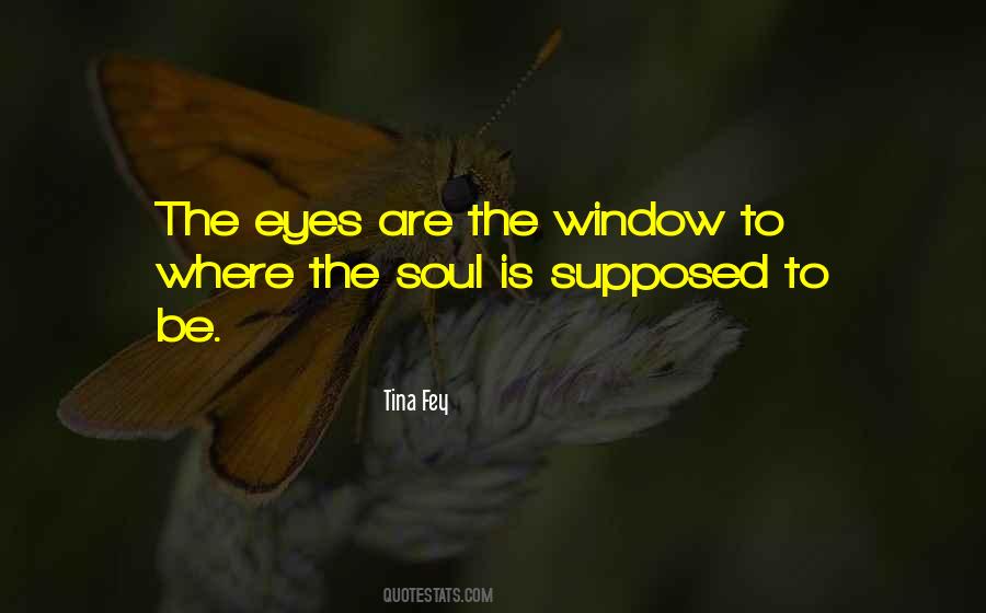The Eyes Are The Window Quotes #483007