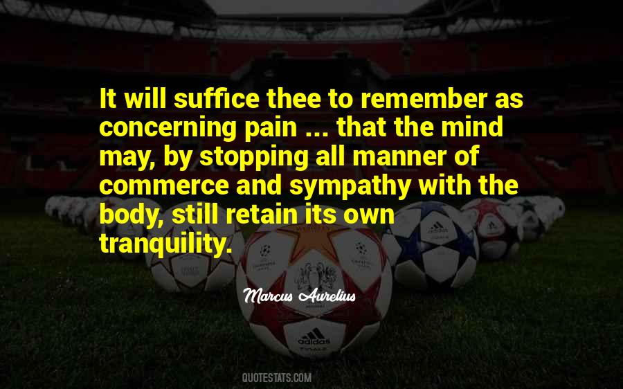 Soul Pain Quotes #1329337