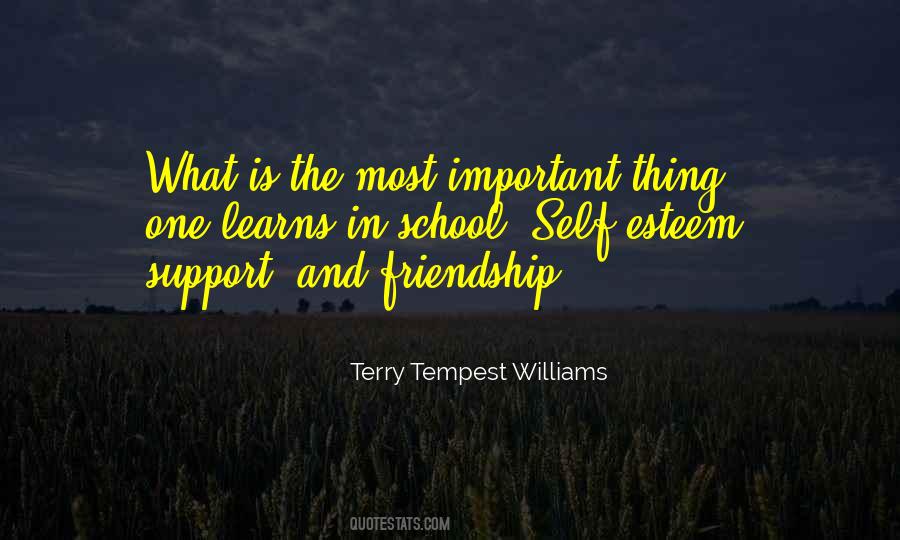 Quotes About Important Friendship #1745107