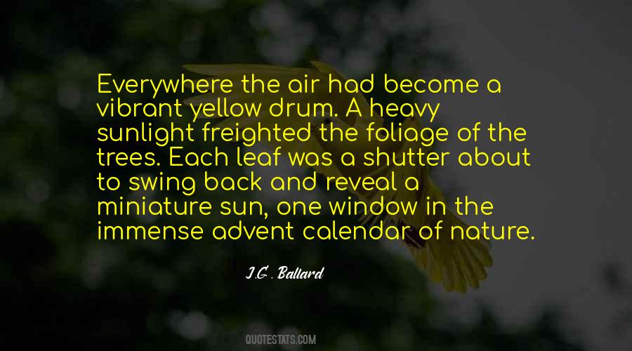 Advent Calendar Of Quotes #746737