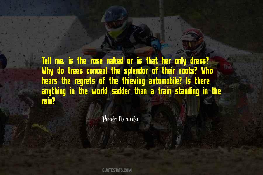 Why We Train Quotes #57547