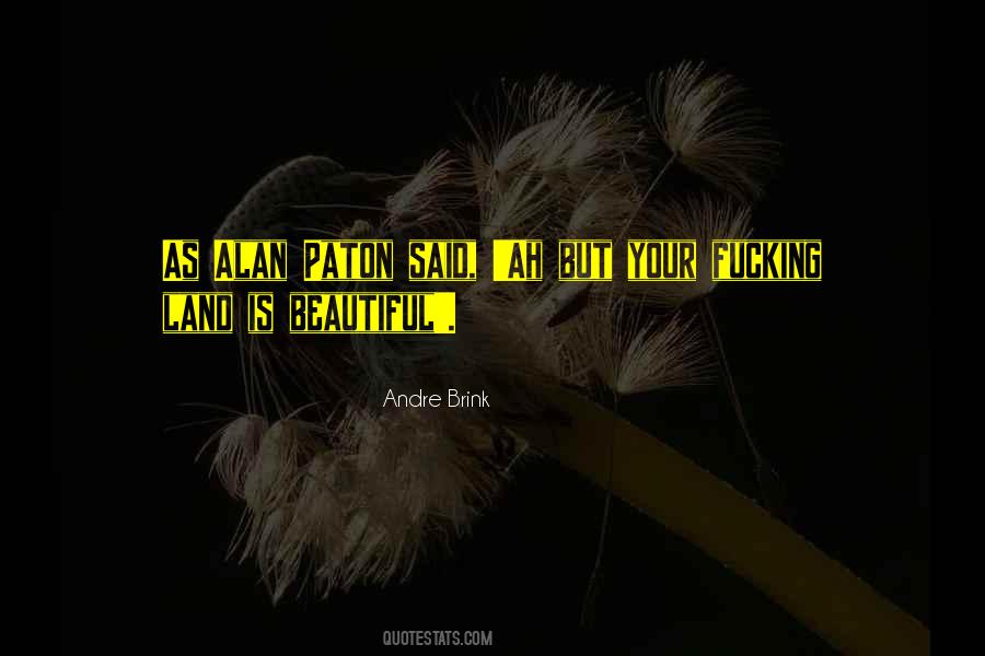 Ah But Your Land Is Beautiful Quotes #364515