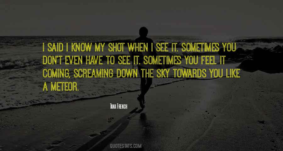 Sometimes You Feel Like Quotes #183639