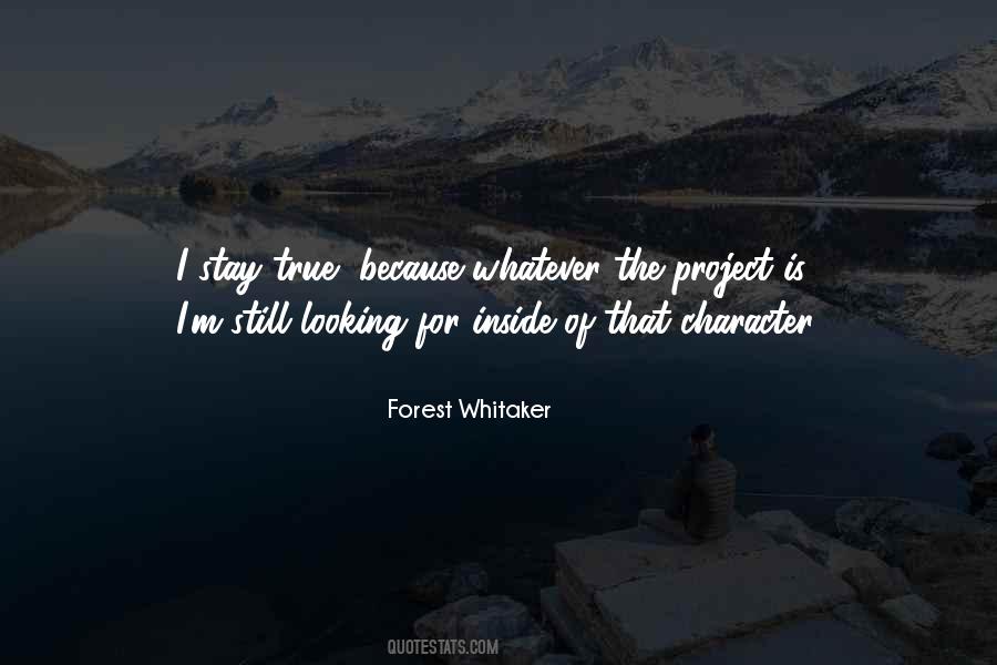 The Project Quotes #1305676