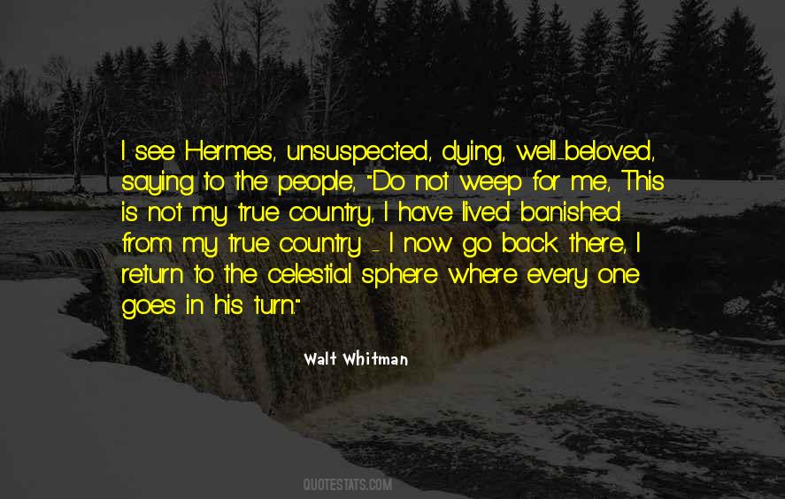 Do Not Weep For Me Quotes #1710082