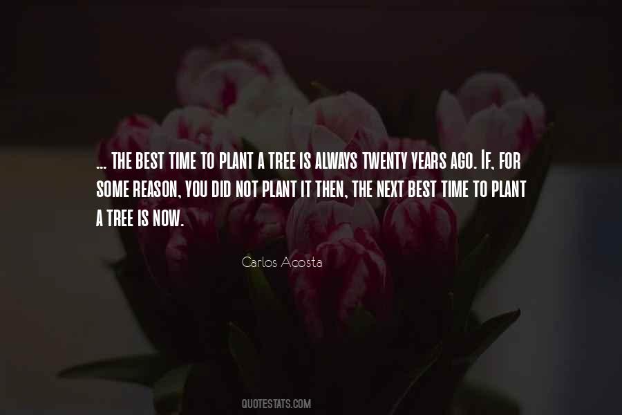 Plant A Plant Quotes #539333