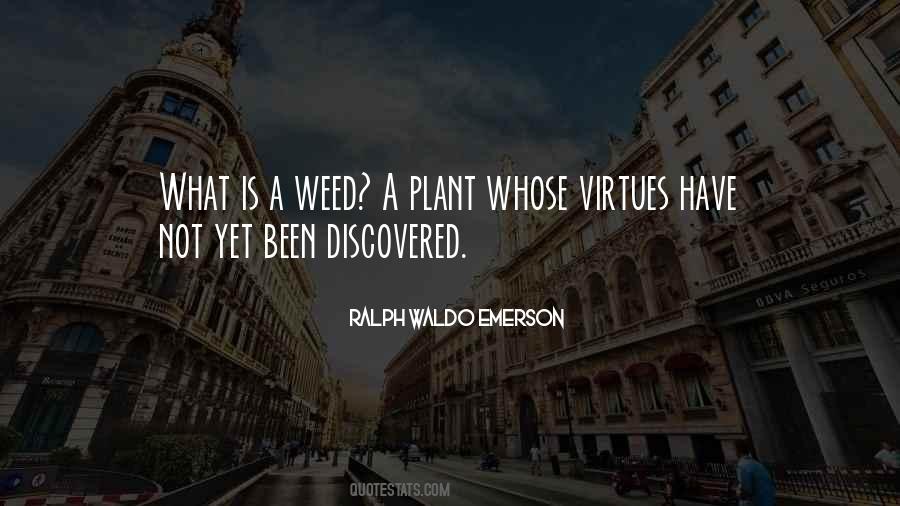 Plant A Plant Quotes #850631