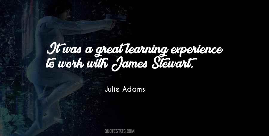 Great Learning Experience Quotes #116341