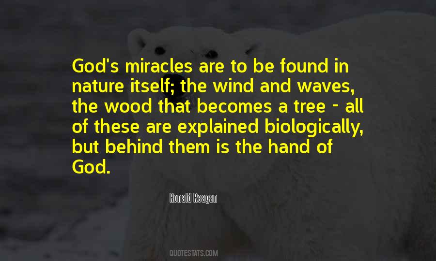 Waves And Wind Quotes #1504906