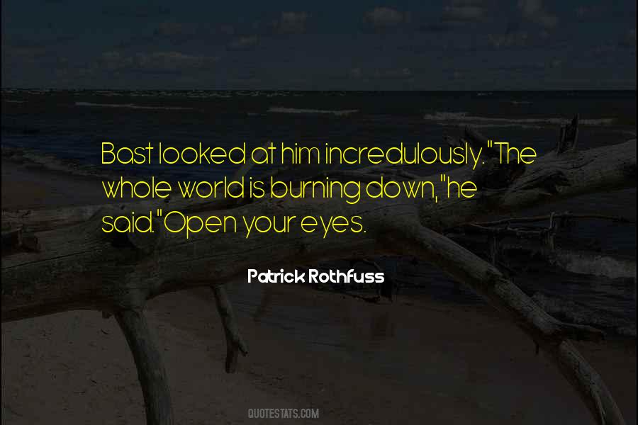 The World Is Burning Quotes #1741645