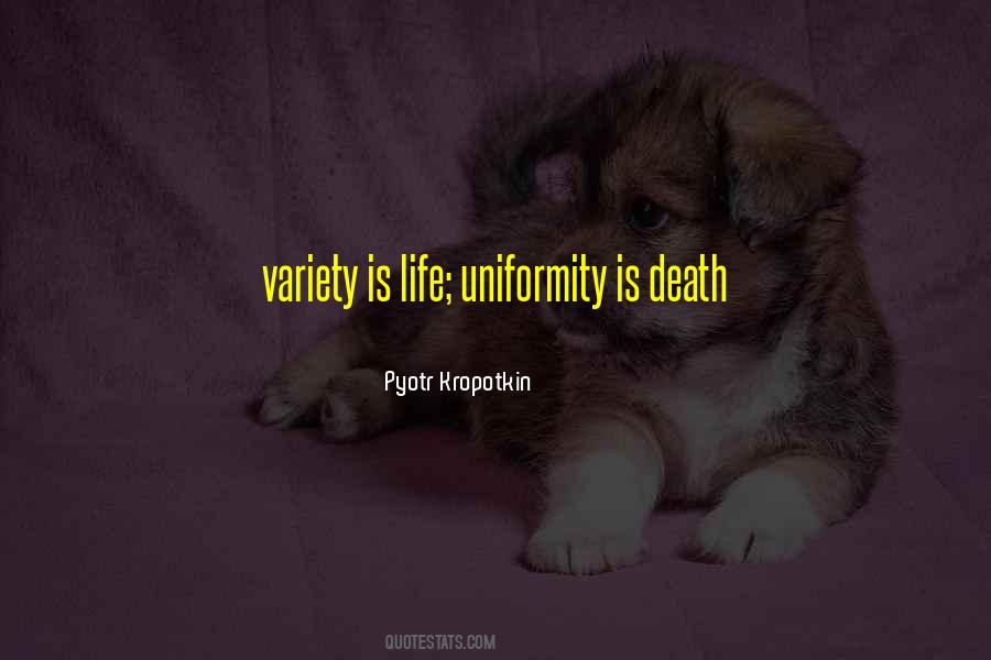 Ellen Kuras Quotes #96236