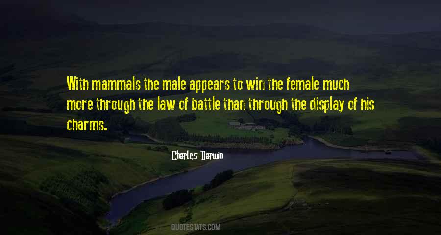 Battle Through Quotes #285588