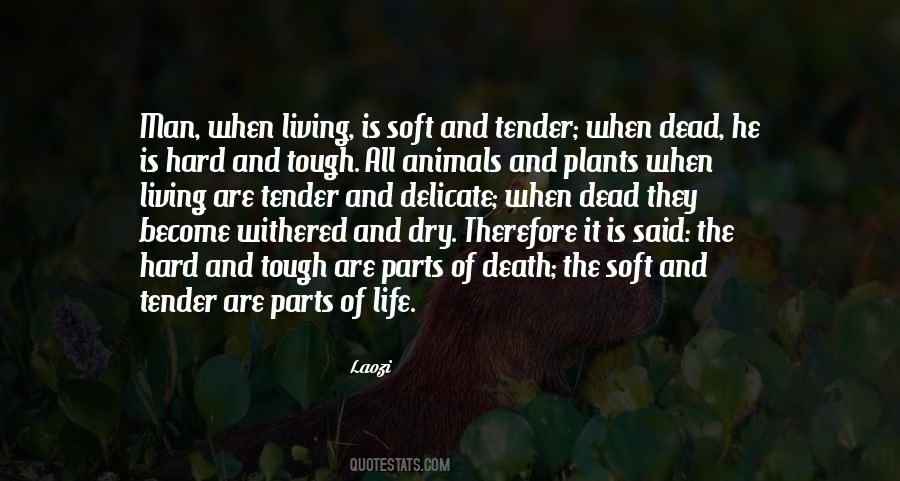 Hard And Tough Quotes #1423394
