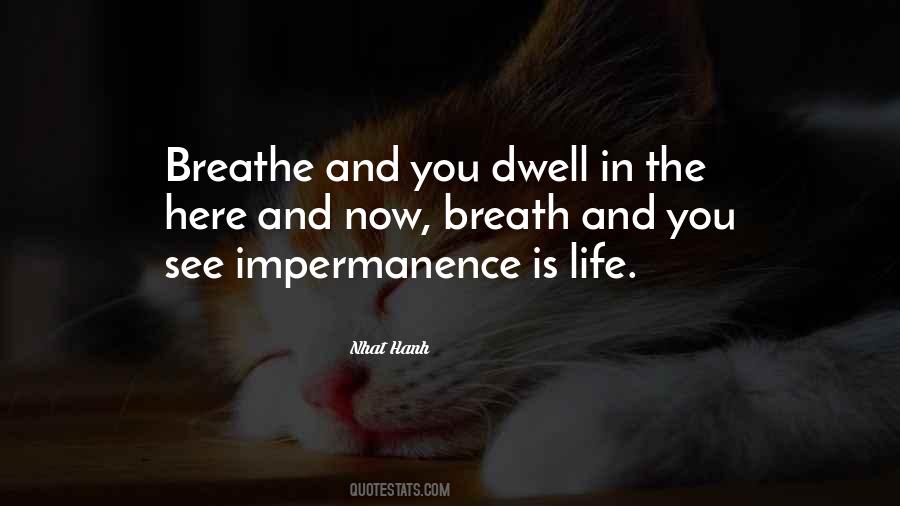 Quotes About Impermanence Of Life #547425