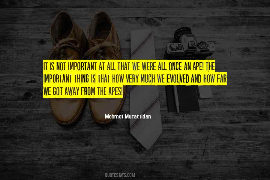 Not At All Important Quotes #1615239