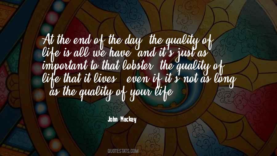 Not At All Important Quotes #488314