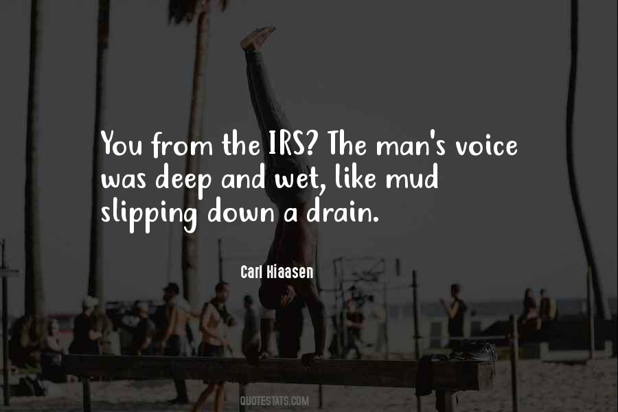 Quotes About The Irs #855119