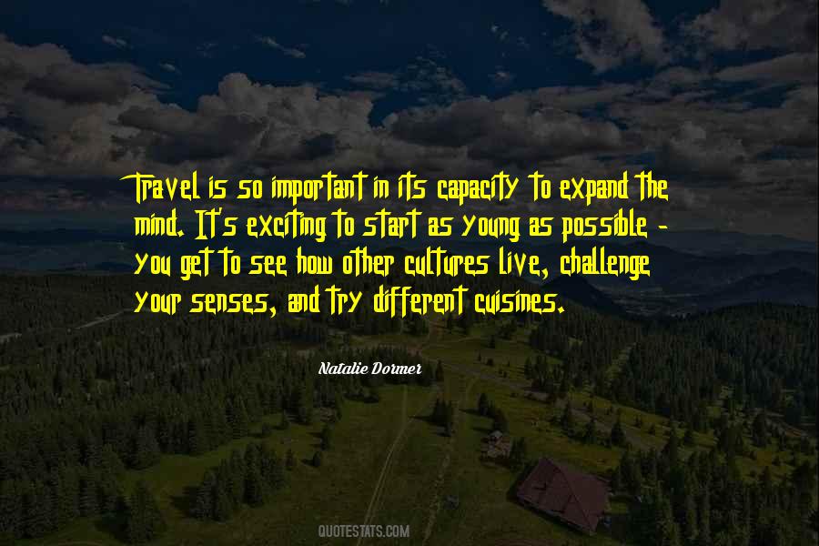 Travel While Still Young Quotes #1514248