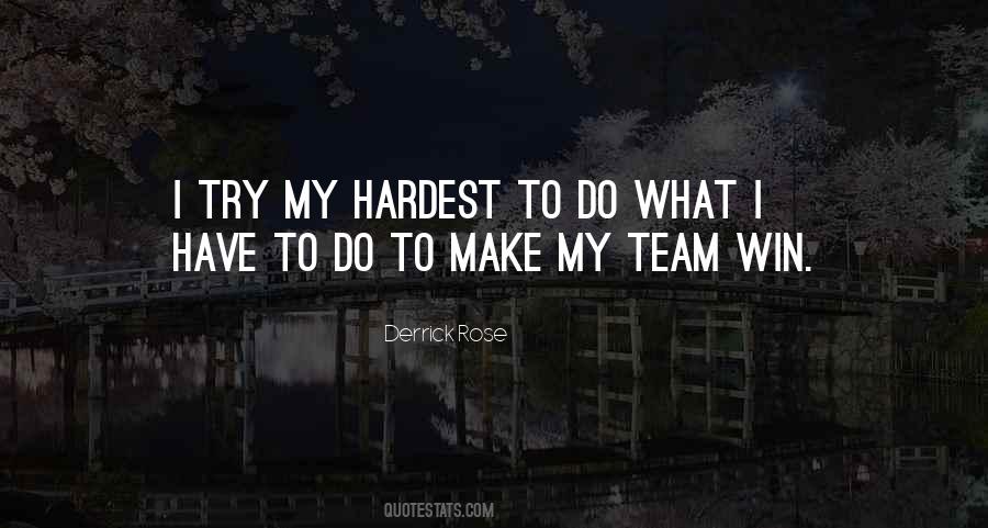 I Try My Hardest Quotes #328909