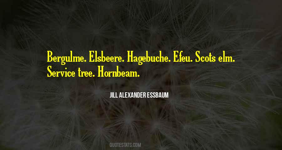 Elm Tree Quotes #943804