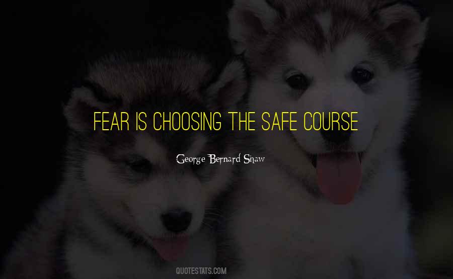 Quotes About The Safe #1569129