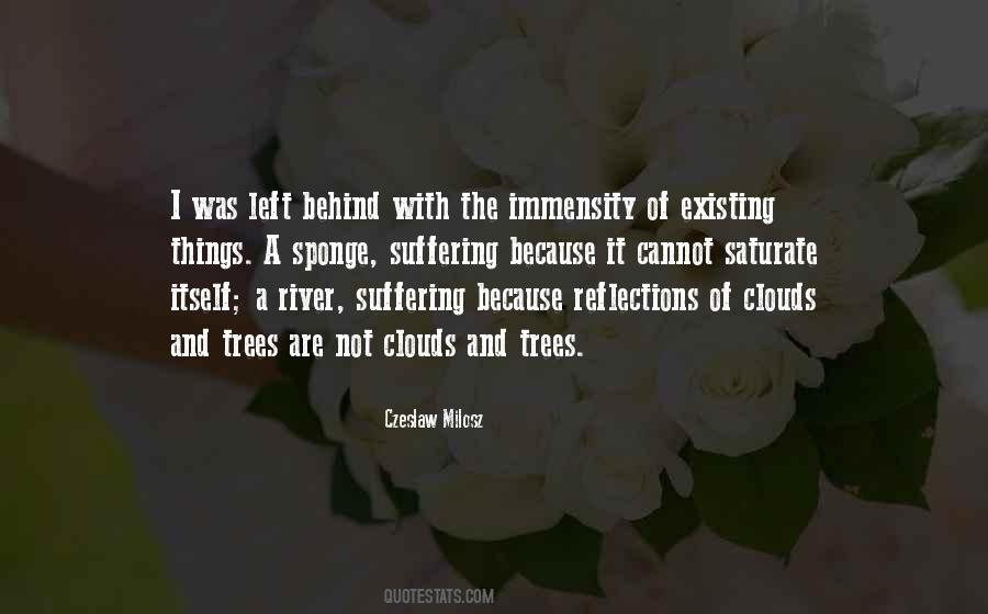 I Am Your Reflection Quotes #9877
