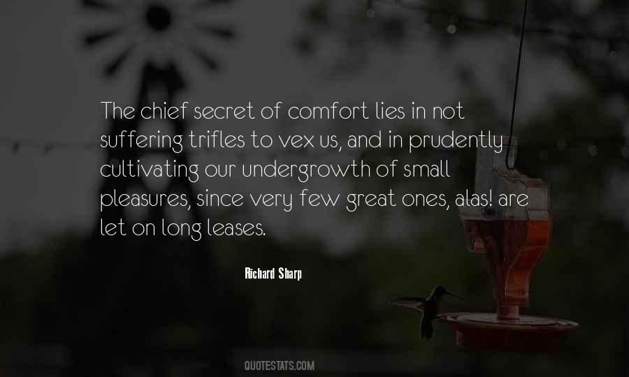 Comfort Of Lies Quotes #1804073