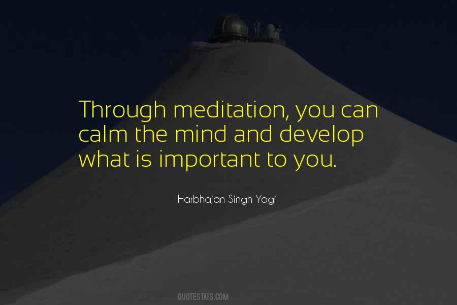 Meditation Inspirational Quotes #253711