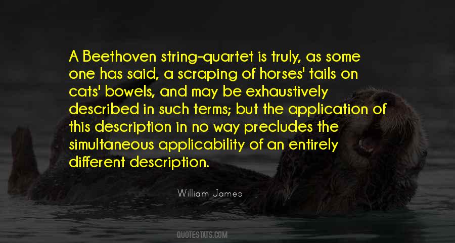 Terms On Quotes #19482