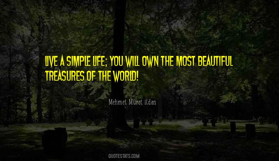 Quotes About Treasures Of Life #820515
