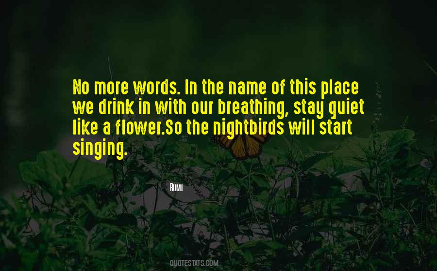 No More Place Quotes #841478