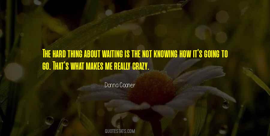 Not Really Knowing Quotes #1112327