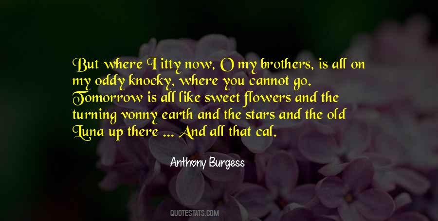 Sweet On You Quotes #1531601