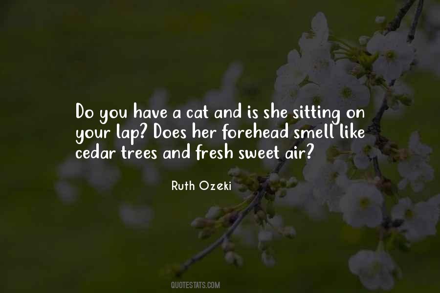 Sweet On You Quotes #964850