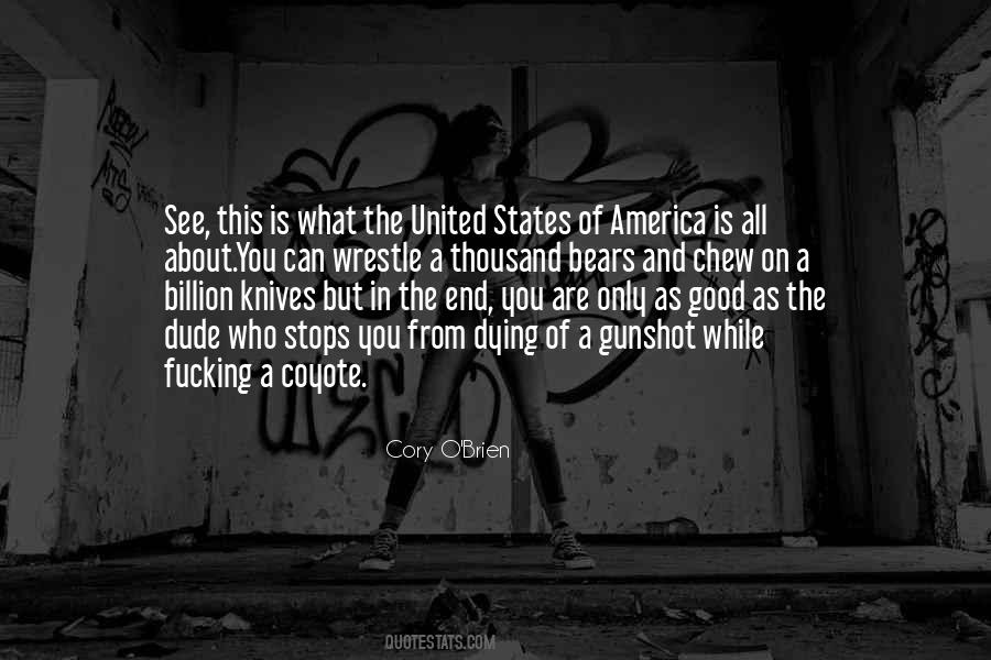 America Is Good Quotes #681034