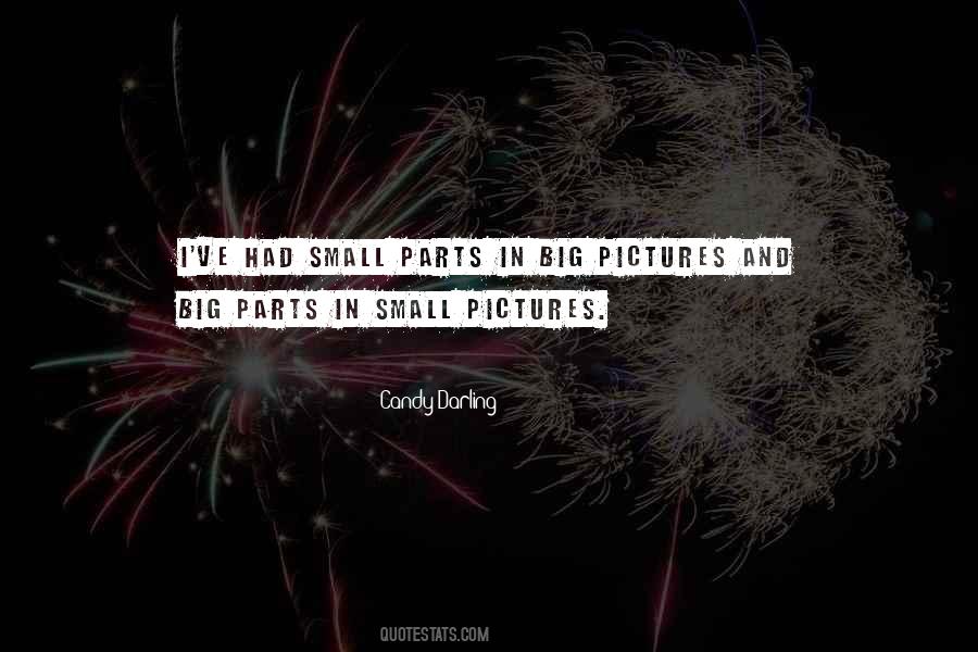Small Picture Quotes #1204097