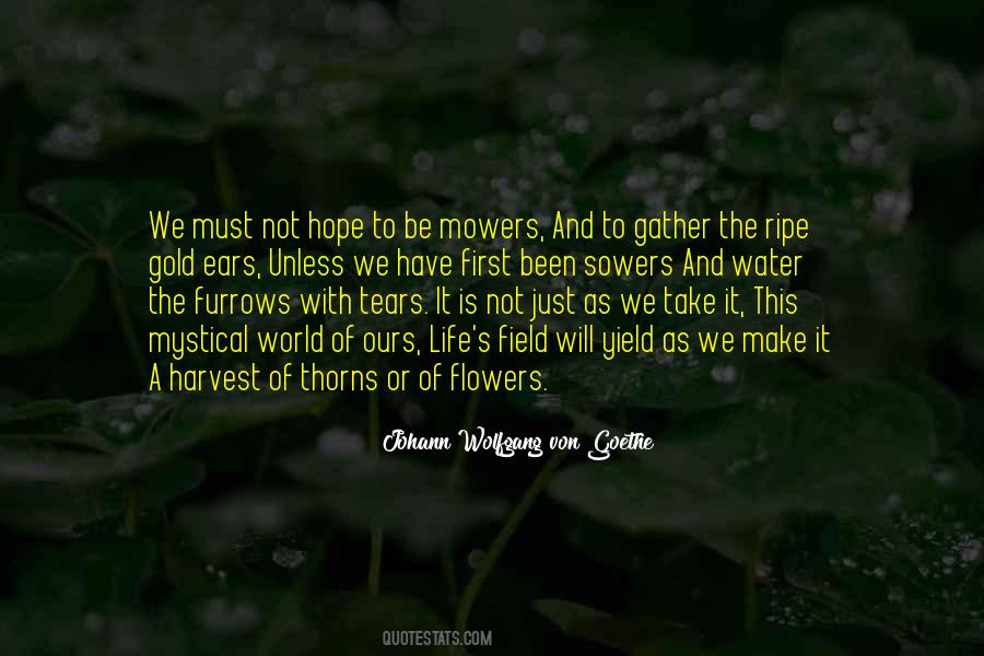 Field Flowers Quotes #947788