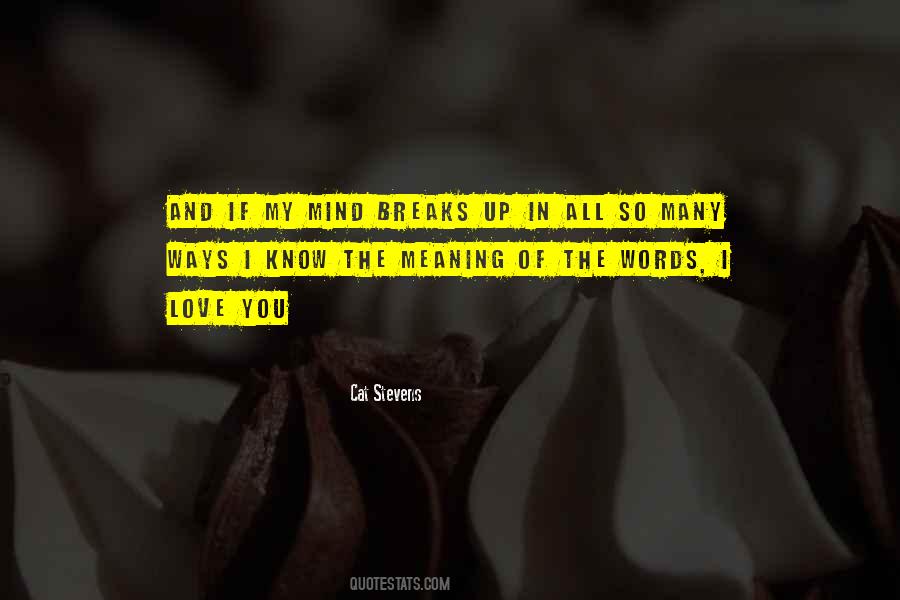Know The Meaning Of Love Quotes #1847401