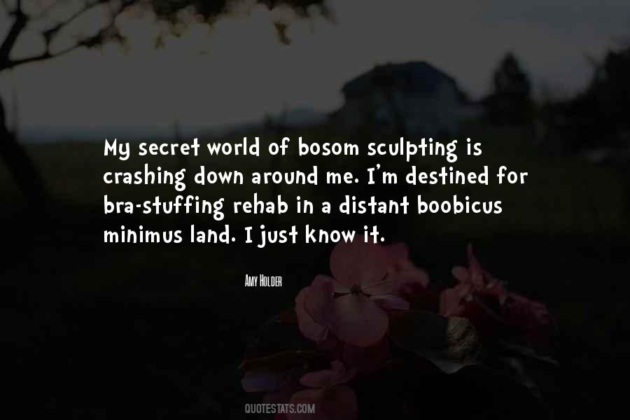 World Is Crashing Down Quotes #677967
