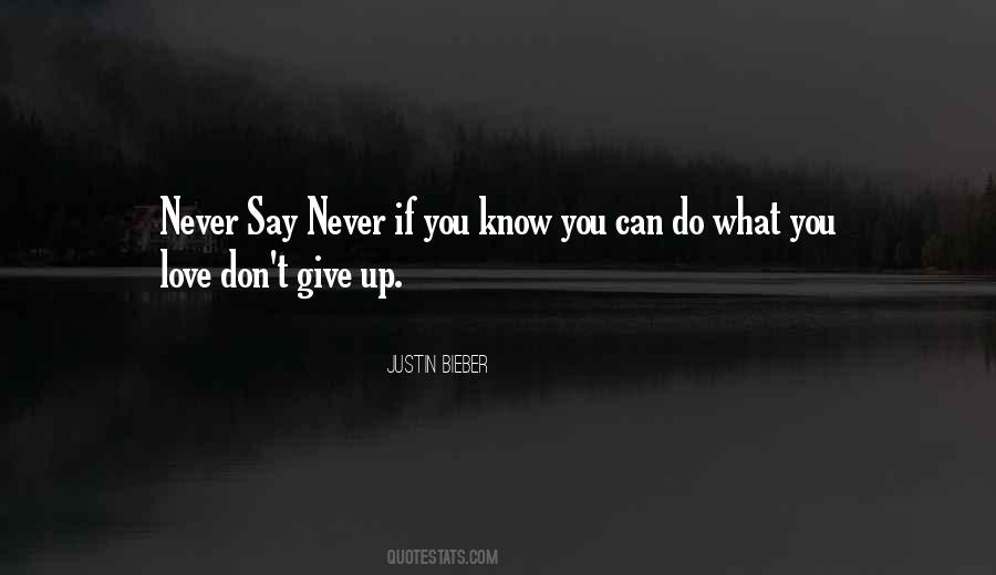 If You Love What You Do Quotes #1385827