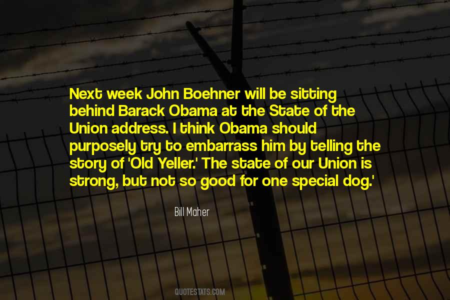 Special Dog Quotes #1692416