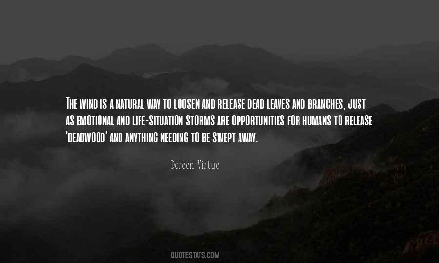 Wind Life Quotes #1027935