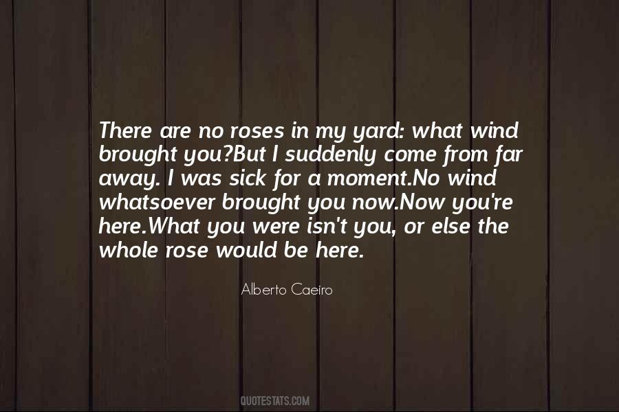Wind Life Quotes #340337