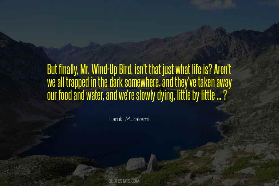 Wind Life Quotes #683142